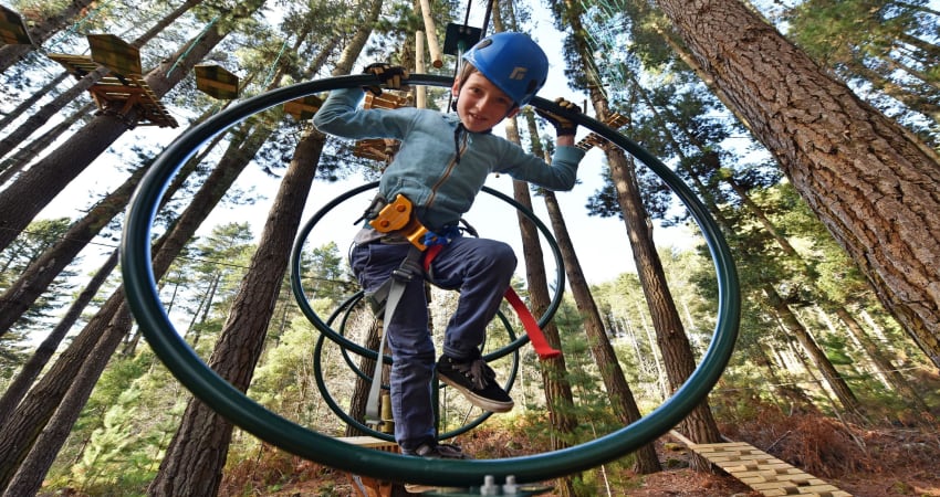 Treetop Adventure Launceston Available At Adrenaline Adrenaline