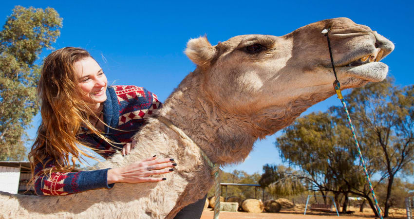 Outback Sunset Camel Ride Tour - Adult - Adrenaline