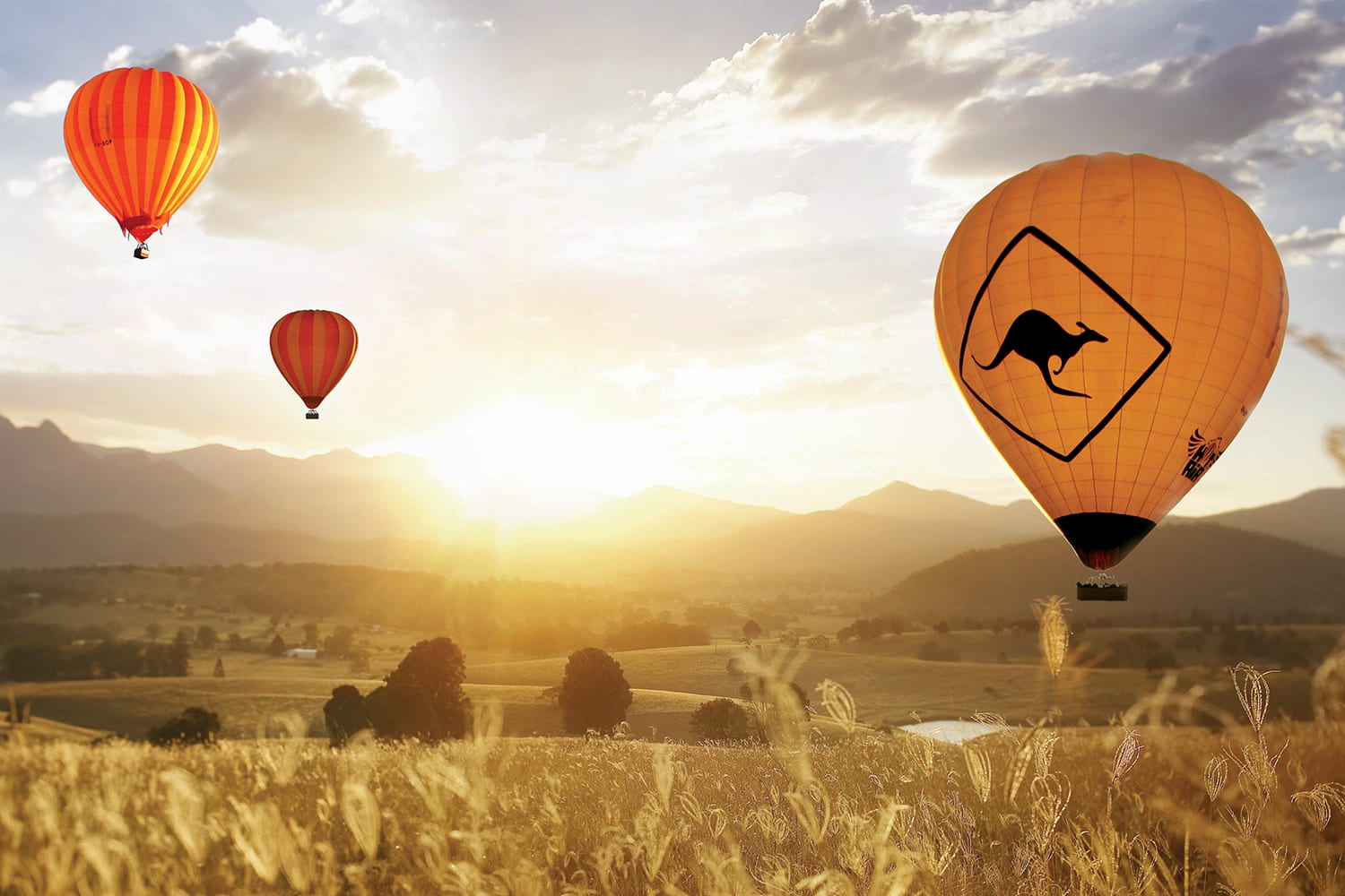 Hot Air Balloon Ride, 60 Minutes Atherton Tablelands, Departs Cairns