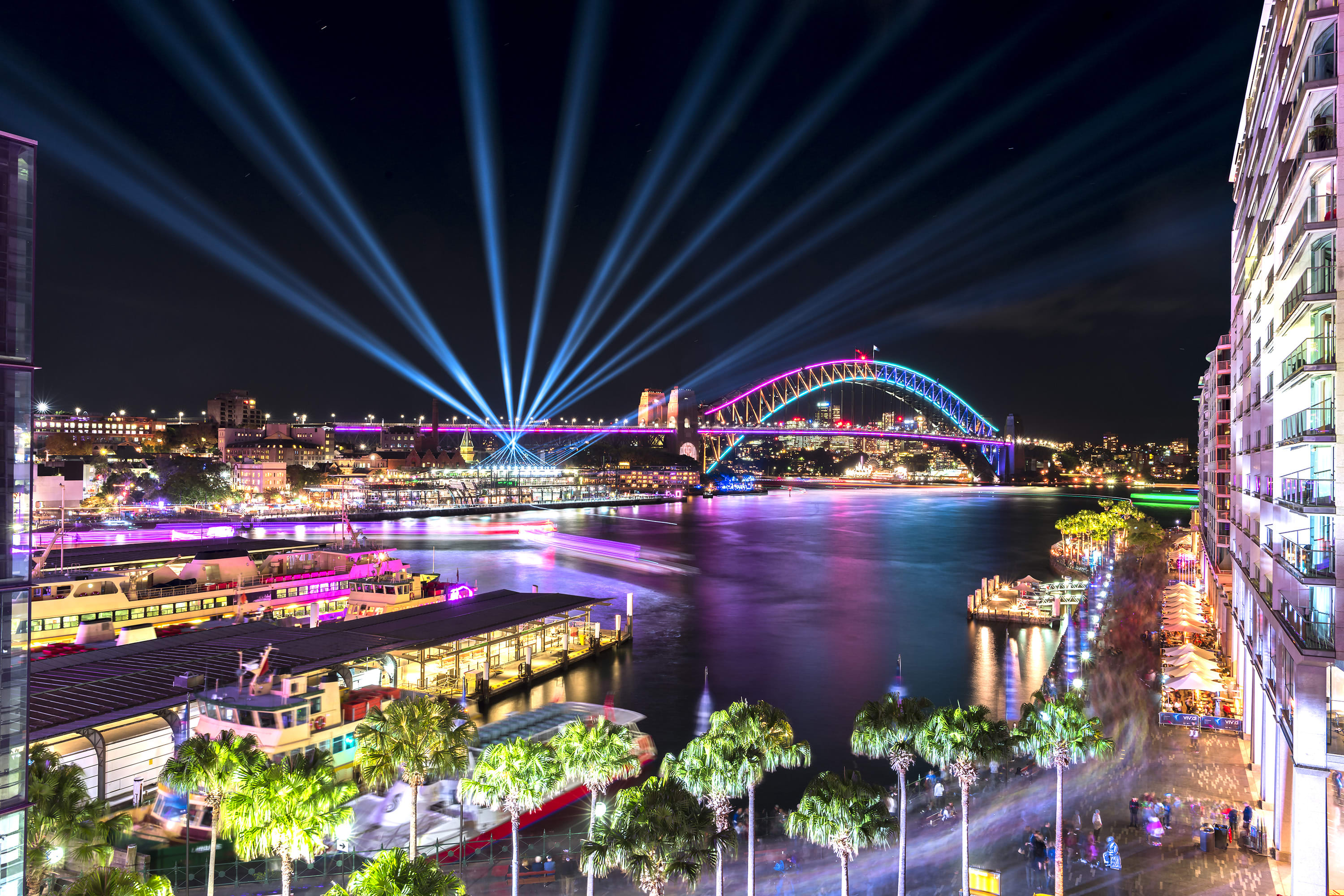 majestic cruise vivid sydney