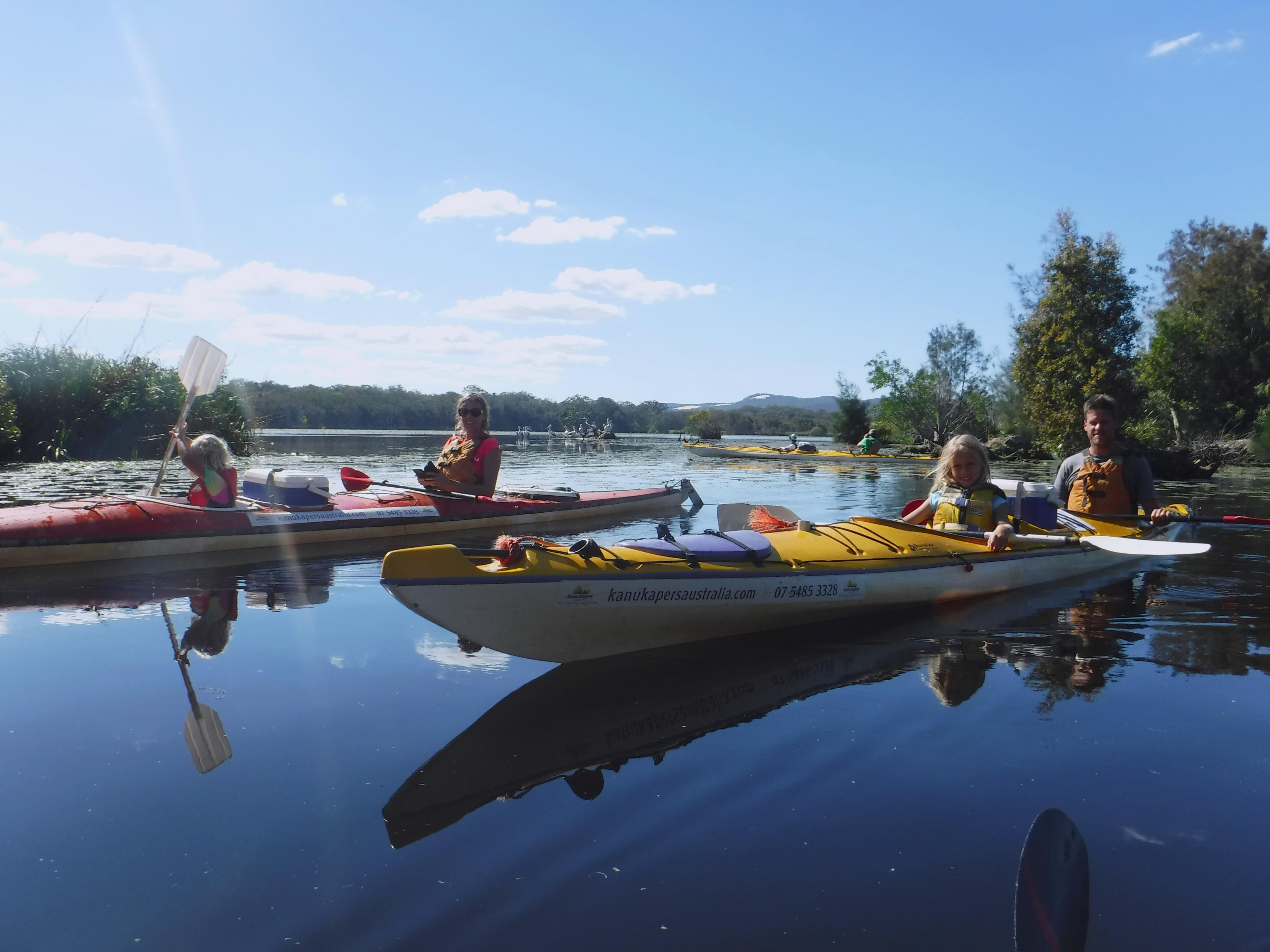 Full Day Guided Kayak on the Noosa Everglades Adrenaline