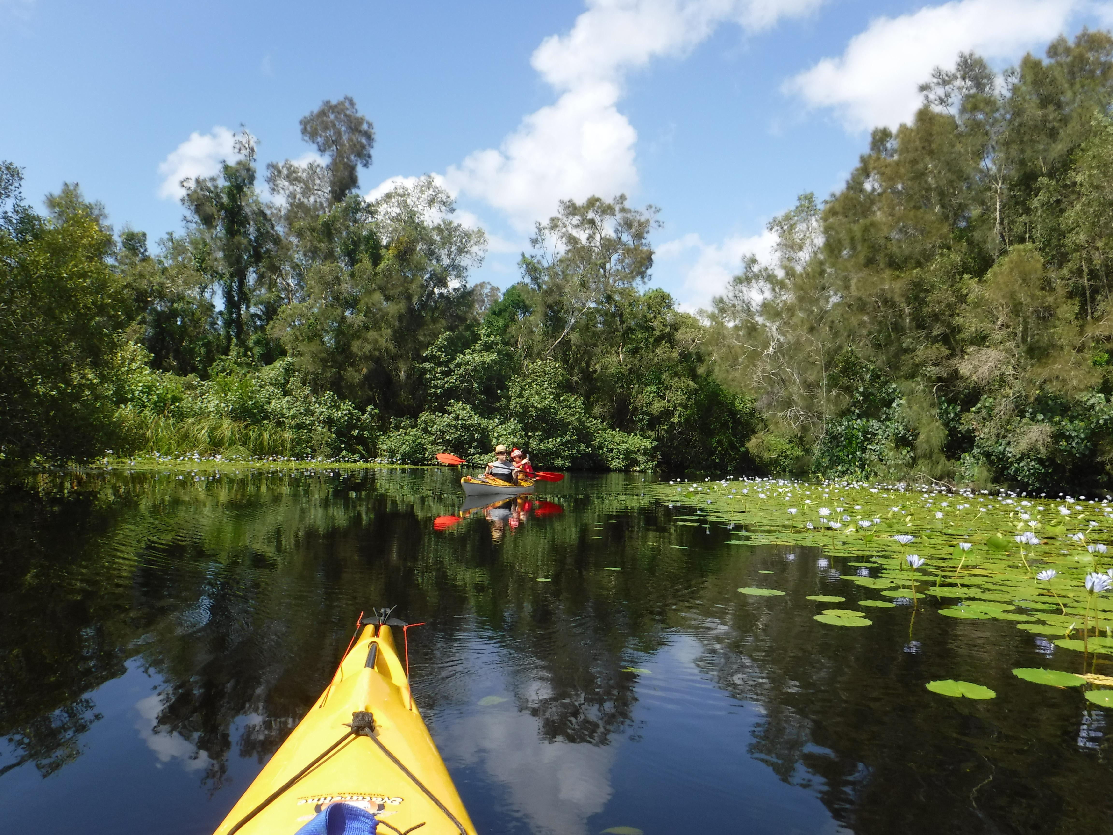 kayaking in the everglades kayaking in the everglades