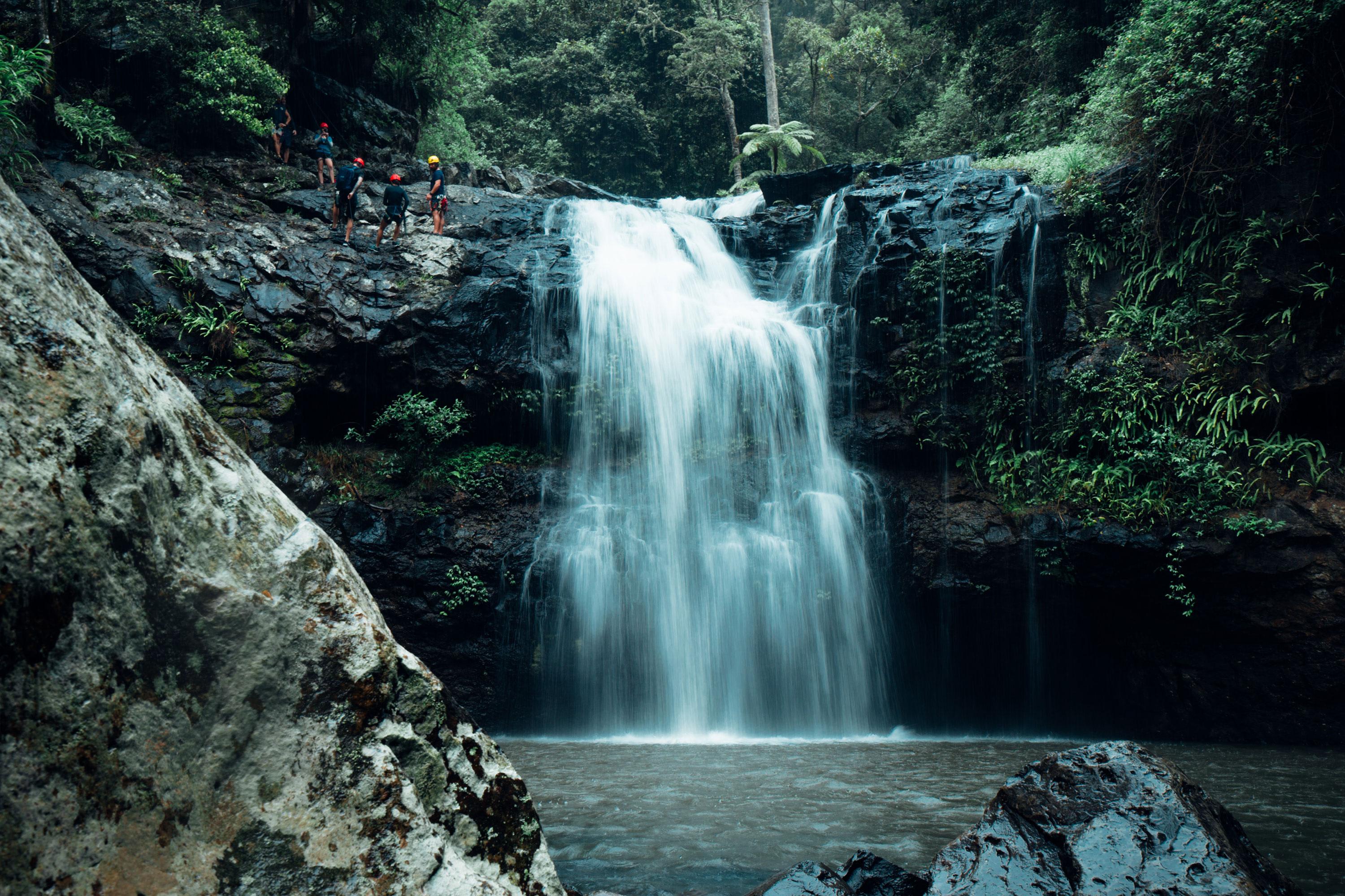 hinterland tours gold coast