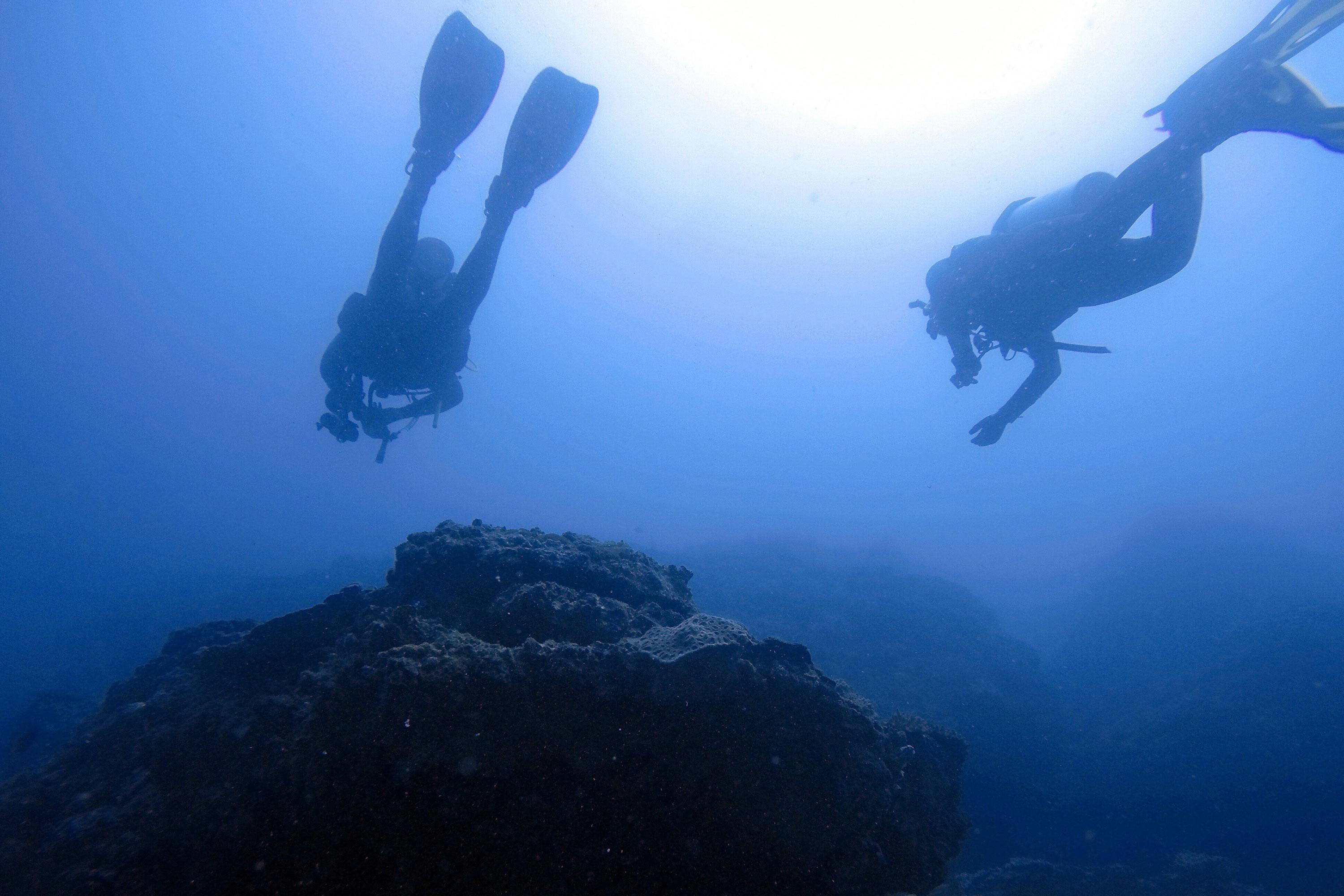 Introduction to Scuba Diving, Sunshine Coast Adrenaline