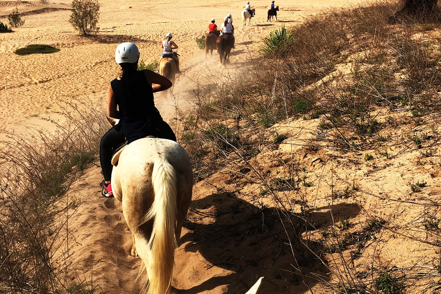 Helicopter Flight and Horseback Riding Island Adrenaline