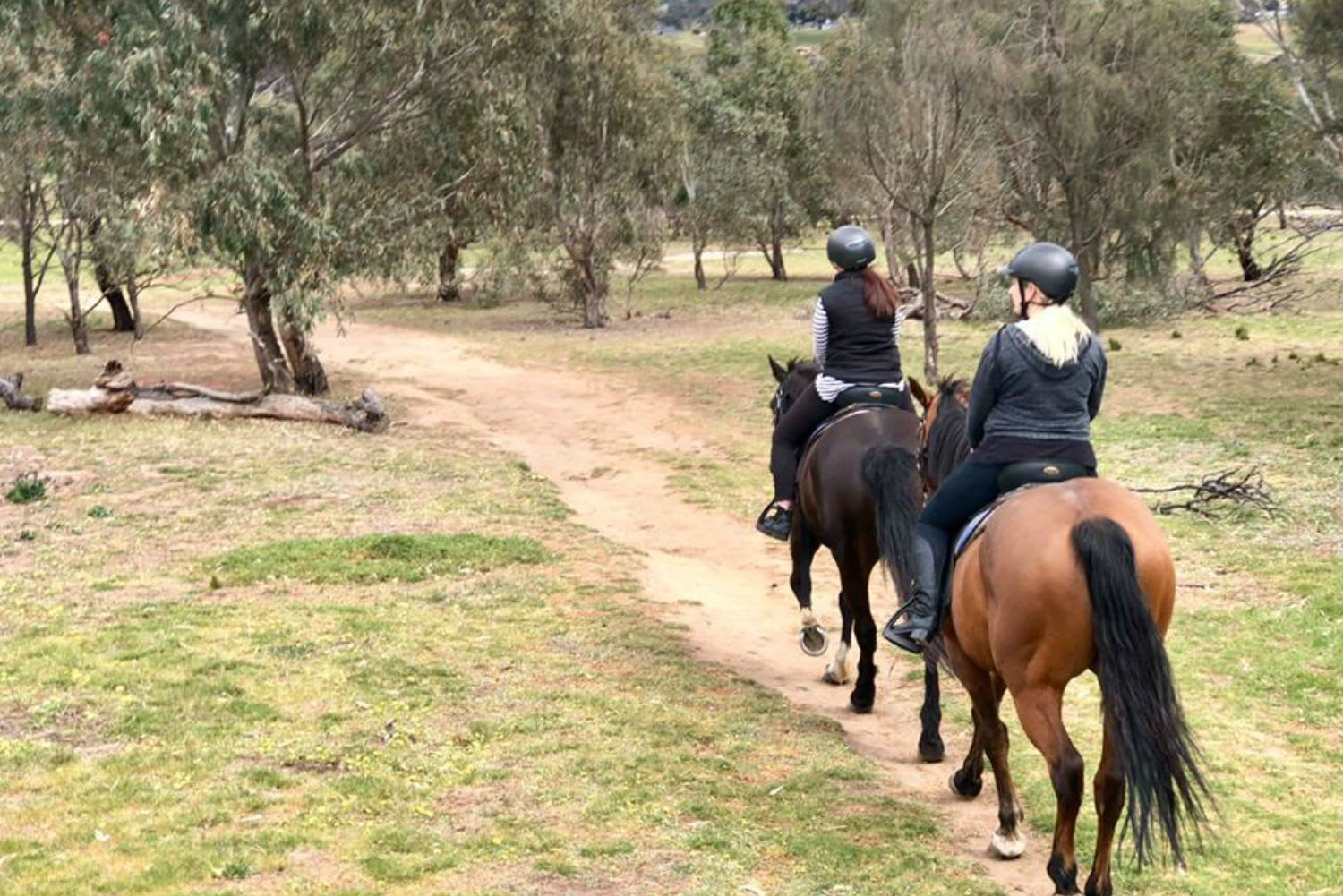 Horse Riding Tour, 1 Hour Melbourne's Woodlands Historic Park