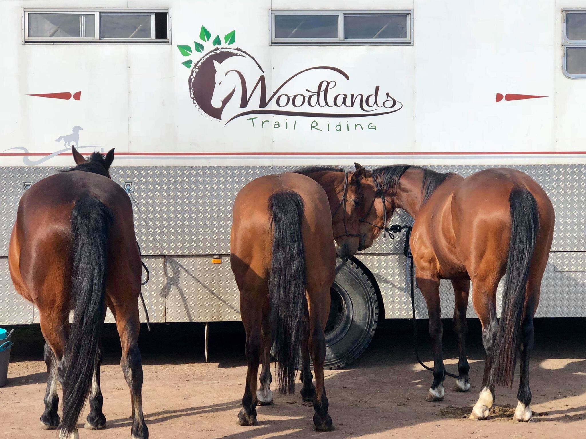 Scenic Horse Riding Tour with Lunch, 2.5 Hours Melbourne For 2