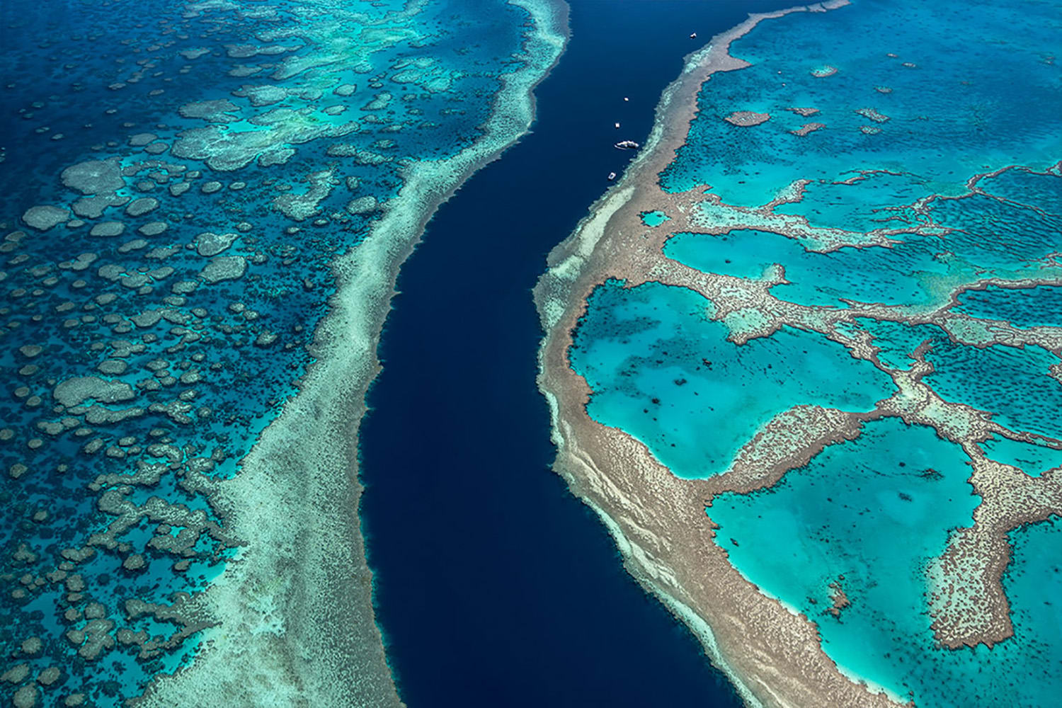 Scenic Flight Over Great Barrier Reef and Whitsundays, 1 Hour Airlie