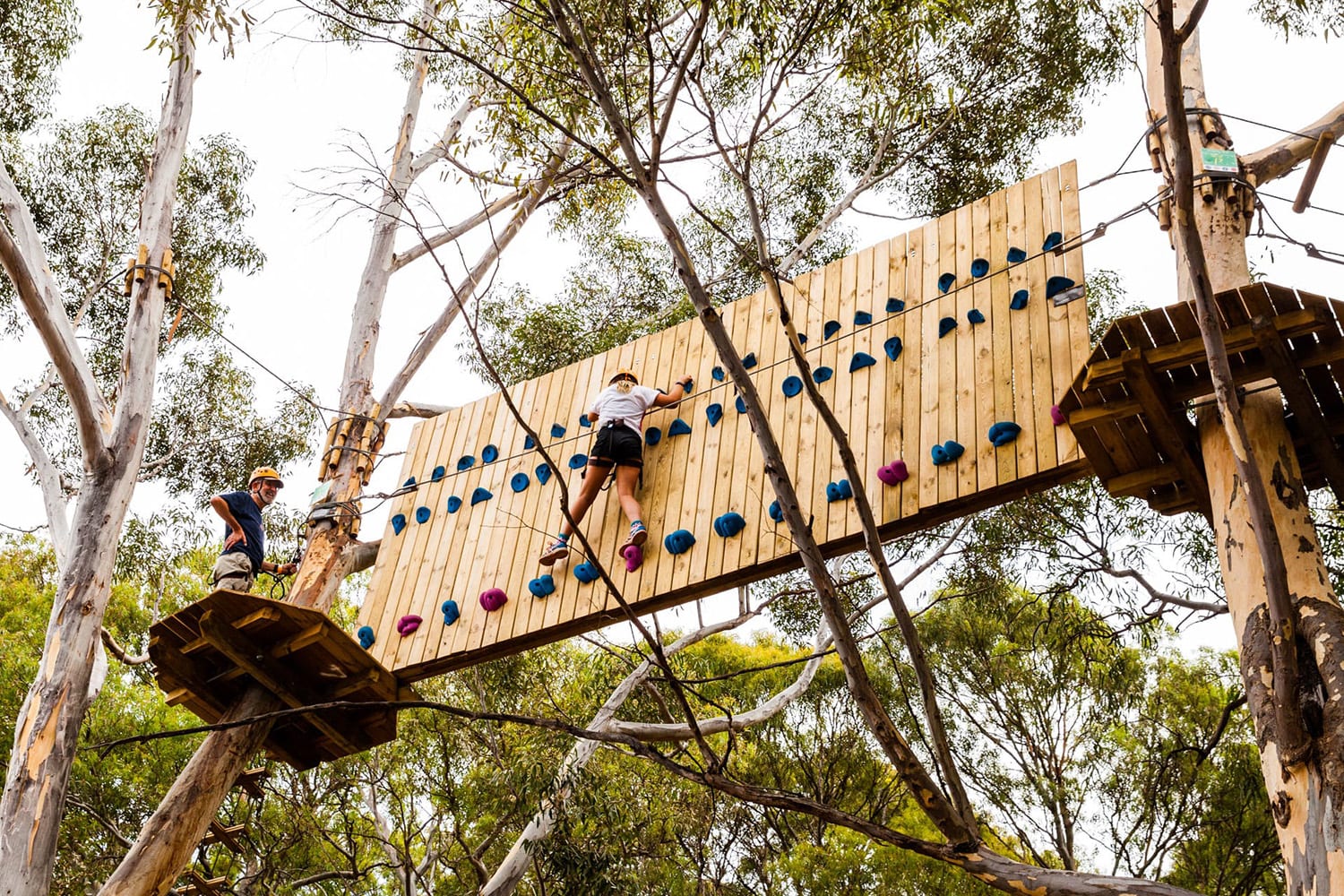 Aerial Adventure Park Course, 2 Hours Adrenaline