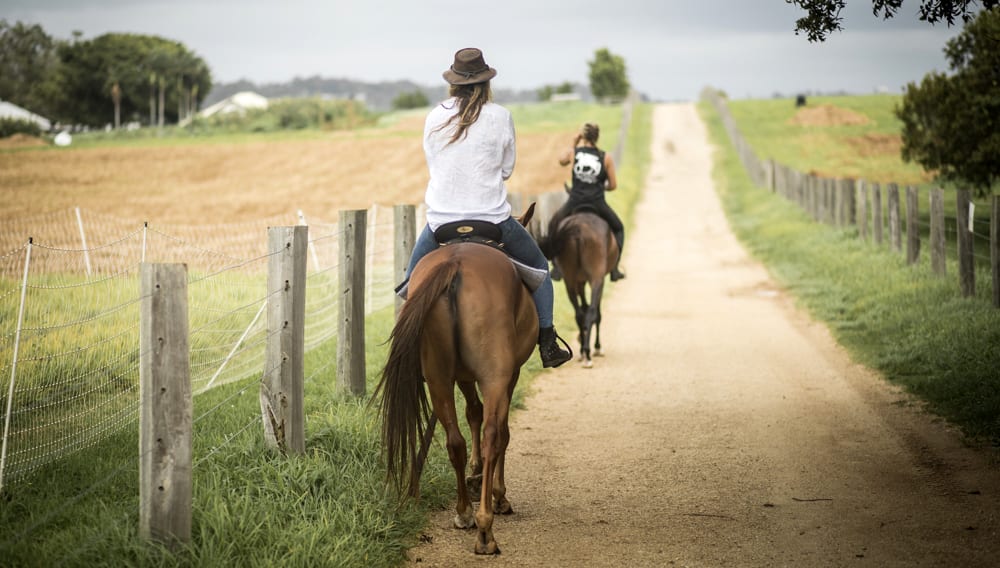 Horseback Riding Tour The Farm, Byron Bay Adrenaline