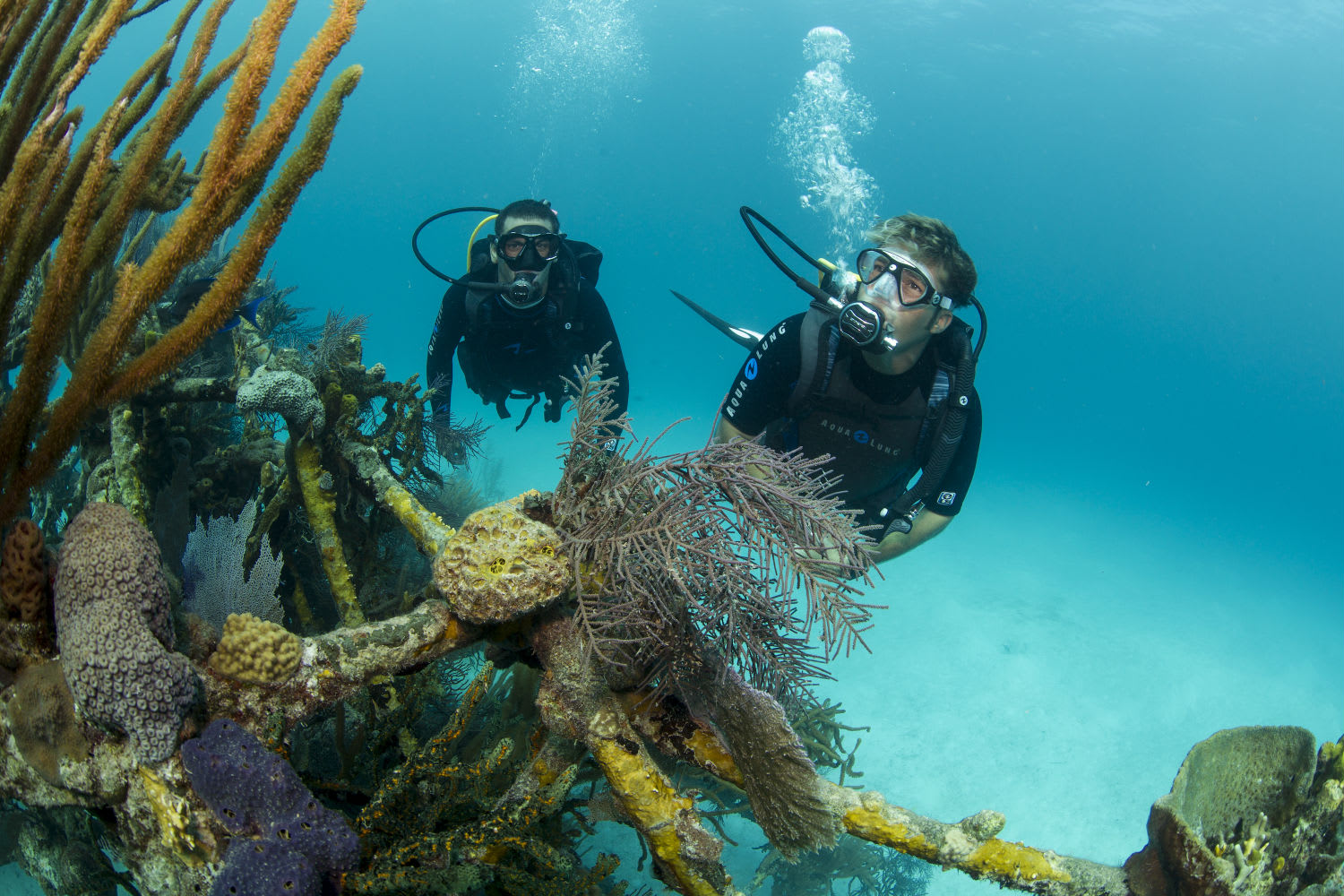 scuba diving tour sydney