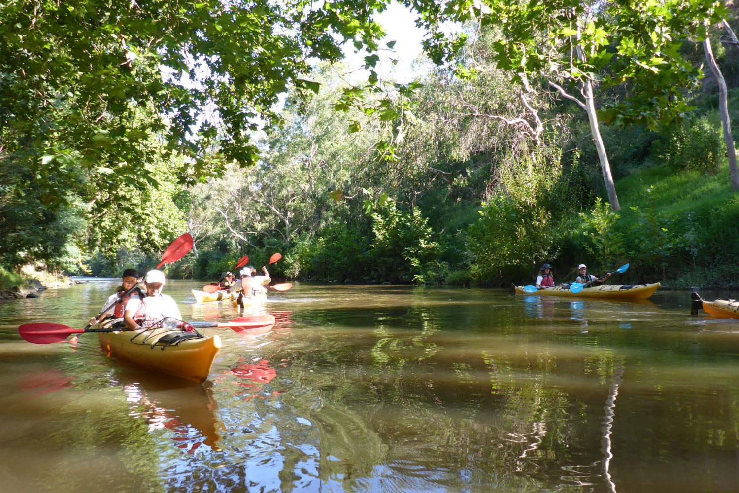 Scenic Yarra River Kayak Tour Melbourne Adrenaline