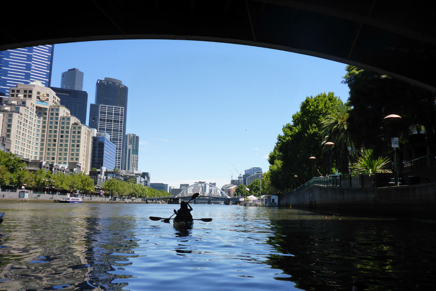 Scenic Yarra River Kayak Tour Melbourne Adrenaline
