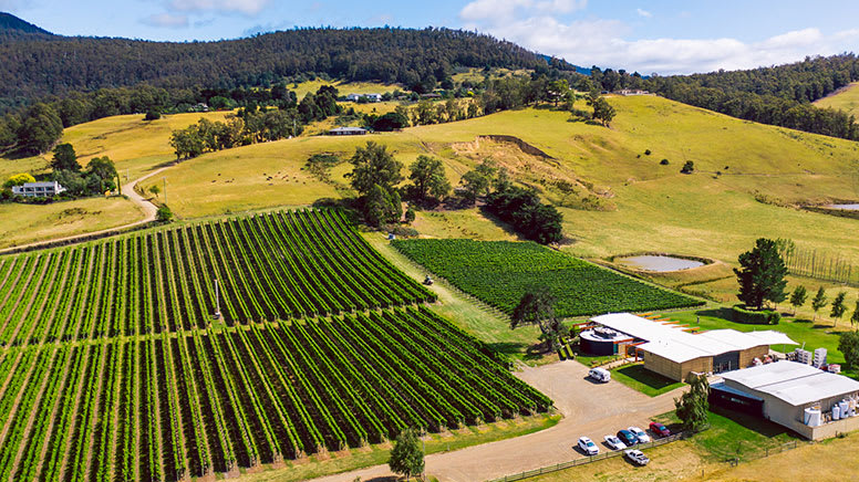 wine tour tasmania hobart