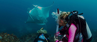 Scuba Byron Bay