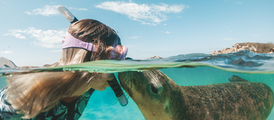 Rewards and Recognition Snorkelling