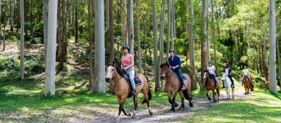 Team Building Horse Riding