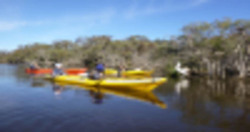 Kayak Tour on the Canning River, Half Day - Perth