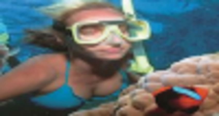 Snorkelling on Wave Break Island - Gold Coast