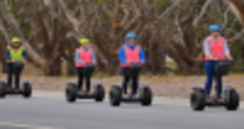 Albany Heritage Park Segway Tour, 60 Minutes - Albany