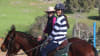 Adults Private Horse Riding Lesson, 1 Hour - Jarrahdale, Perth