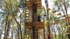 Treetop Ropes Course with Ziplining, Dwellingup WA - 2 Hours