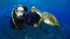 Certified Scuba Diving with Turtles - Cook Island, Gold Coast