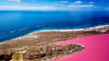 Pink Lake Buggy Tour, 1 Hour - Hutt Lagoon, WA