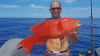 Noosa Offshore Fishing Charter - 9 Hours