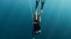 Learn to Freedive, 2 Day Course - Sydney