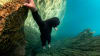 Learn to Freedive, 2 Day Course - Sydney