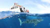 Off Season Whale Shark Swim & Whale Watching Tour - Exmouth