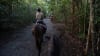 Beach Horse Riding Tour, Afternoon - Cape Tribulation