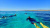 Ningaloo Reef Kayak & Snorkel Tour, 3.5 Hours  - Exmouth