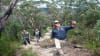 Blue Mountains Bush Walk and Nature Tour - Sydney