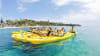 Sea Kayaking Tour to Dolphin Sanctuary and Point Nepean - Mornington Peninsula