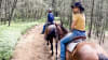 Bushland Trail Horse Ride, 1 Hour - Hunter Valley
