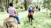 Bushland Trail Horse Ride, 1 Hour - Hunter Valley