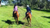 Horse Riding Adventure, 1 Hour - Jarrahdale, Perth - Weekday