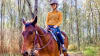 Horseback Vineyard Trail Ride, 90 Minutes - Hunter Valley