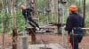 Tree Top Adventure Park Experience - Newcastle