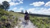 Guided Horse Ride, 2 Hours - Bush Rangers Track