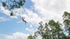 High Ropes Climbing Course with Flying Foxes - Coffs Harbour