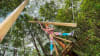 High Ropes Climbing Course with Flying Foxes - Coffs Harbour