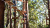 High Ropes Climbing Course with Flying Foxes - Coffs Harbour