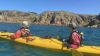 Sea Kayaking, 1 Day - Phillip Island, Melbourne