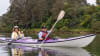 Bermagui River Kayak Tour, 3 Hours - South Coast - For 2