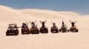 Quad Biking and Sand Boarding Tour - Lancelin