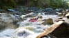 White Water Rafting Adventure, 2 Hours - Barron River, Cairns