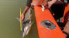 Australian Wild Fishing Charter Tour on Finniss River - Darwin